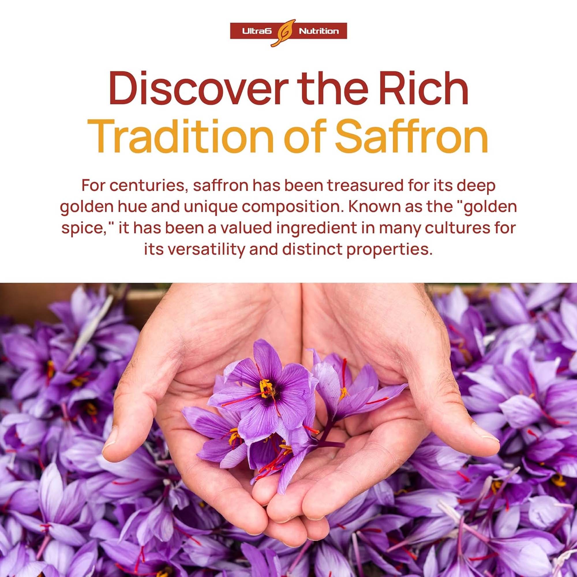 Saffron Extract Capsules, Anti - Health And Wellness Promotion ulasan dan harga